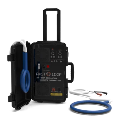 ПЕМФ ПМСТ ВЕТ